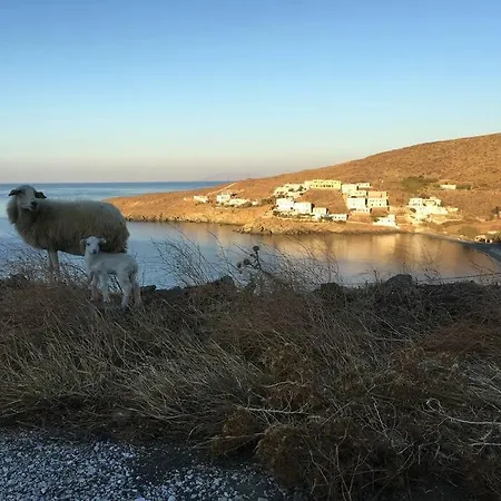 Paloma, Tinos Island *